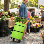 2-in-1 Foldable Shopping Bag with Wheels