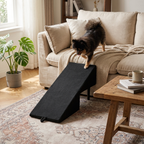 2-in-1 Convertible Dog Ramp and Step Stool