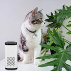 Haustier Luftreiniger Allergie Filter