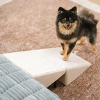 2in1 Hunderampe Treppe Sofa Auto